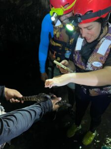 Fotografiando la fauna en cuevas de bayano Panamá