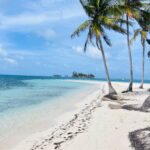 Vista del mar y palmeras en san blas Panamá