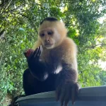 WhatsApp Image 2025-01-16 at 12.00.07 PM