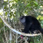 WhatsApp Image 2025-01-16 at 12.00.07 PM (2)