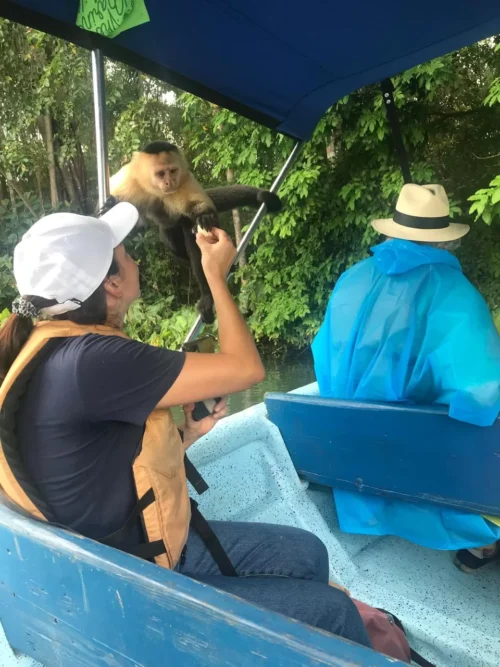 Isla de Monos