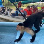 WhatsApp Image 2025-08-04 at 10.12.20 AM