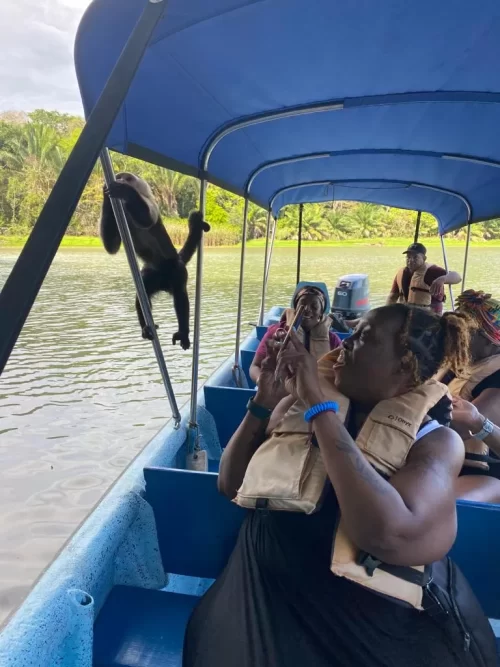 Safari acuático en Gamboa, isla de los monos.