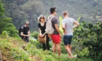 COFFEE Tour