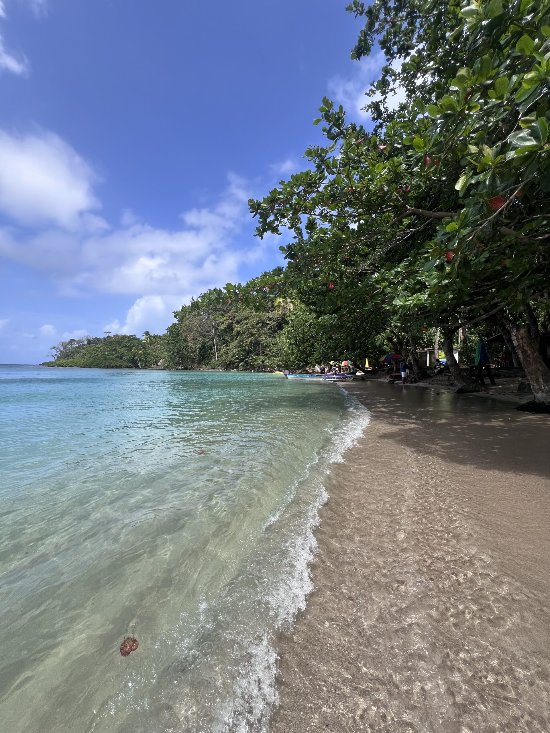 Gira 4 en 1 Portobelo, Cristo Negro, Venas Azules y Playa Blanca - Imagen 13