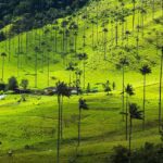 vistas de tour Salento-Colombia