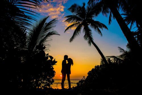 pareja en amor en medio de 2 palmeras